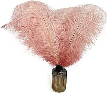 HAPPY FEATHER 16-18 inch Pink Ostrich Feathers Cratfs for Wedding Party Centerpieces Home Decorat... | Amazon (US)