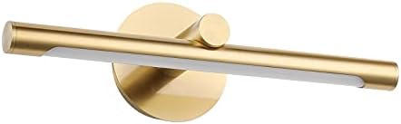 JUSHENG Modern Bathroom Vanity Light Gold Color Indoor Art Decor LED Picture Lights for Paintings... | Amazon (US)