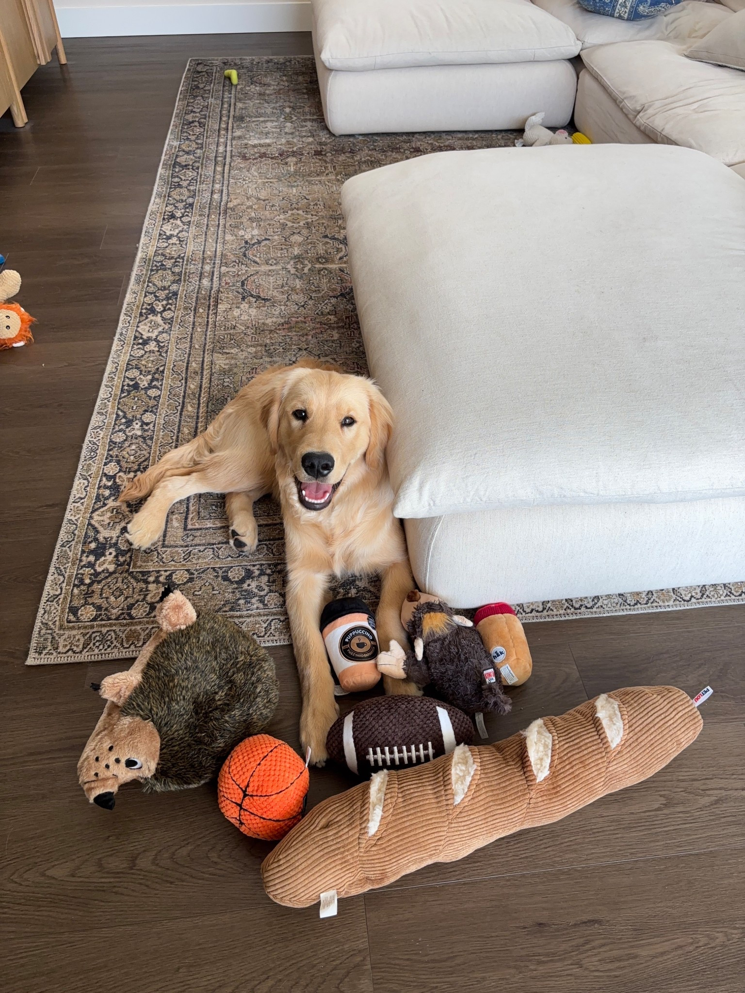 @chewy #chewypartner