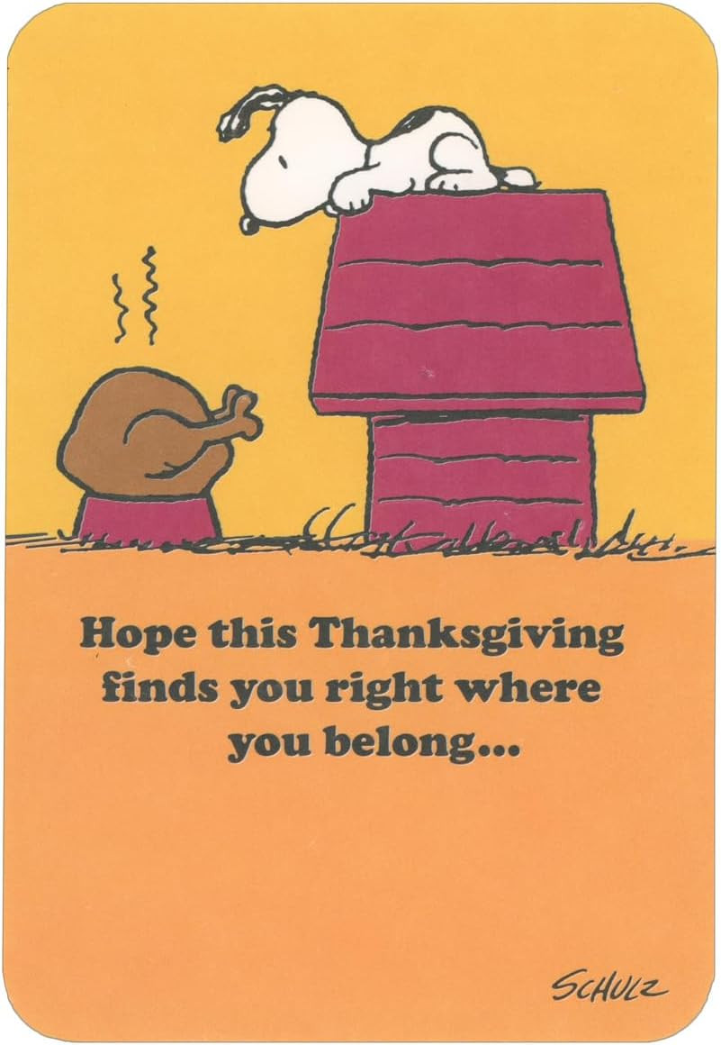American Greetings Snoopy Looking at Turkey on Dog Bowl from Roof of Doghouse Thanksgiving Card | Amazon (US)
