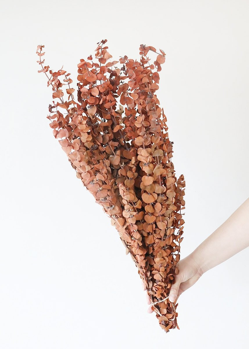 Earthy Terra Cotta Preserved Spiral Eucalyptus - 28-30" | Afloral (US)
