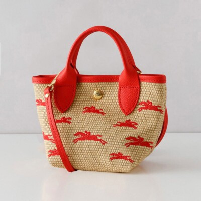 SALE LONGCHAMP Basket Bag LE PANIER PLIAGE 2way Shoulder Strawberry XS Size NEW | eBay US