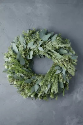 Fresh Seeded Eucalyptus + Woolybush Wreath | Anthropologie (US)