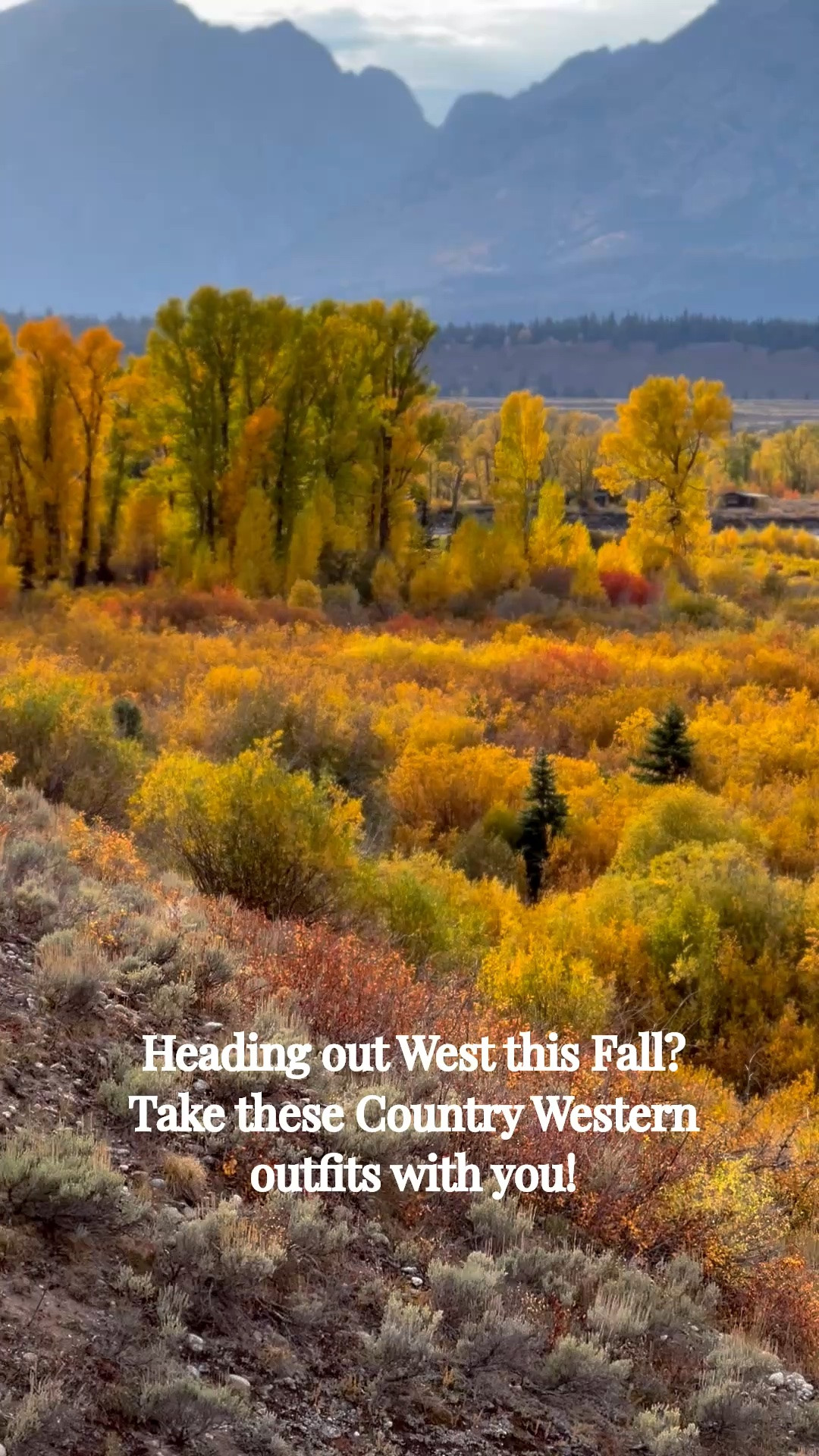 Heading out West this Fall? Take these Country Western outfits with you!

#LTKSeasonal #LTKOver40 #LTKSaleAlert #LTKTravel #LTKgrwm #LTKootd #LTKMidsize #LTKvlog #LTKU #LTKWorkwear
