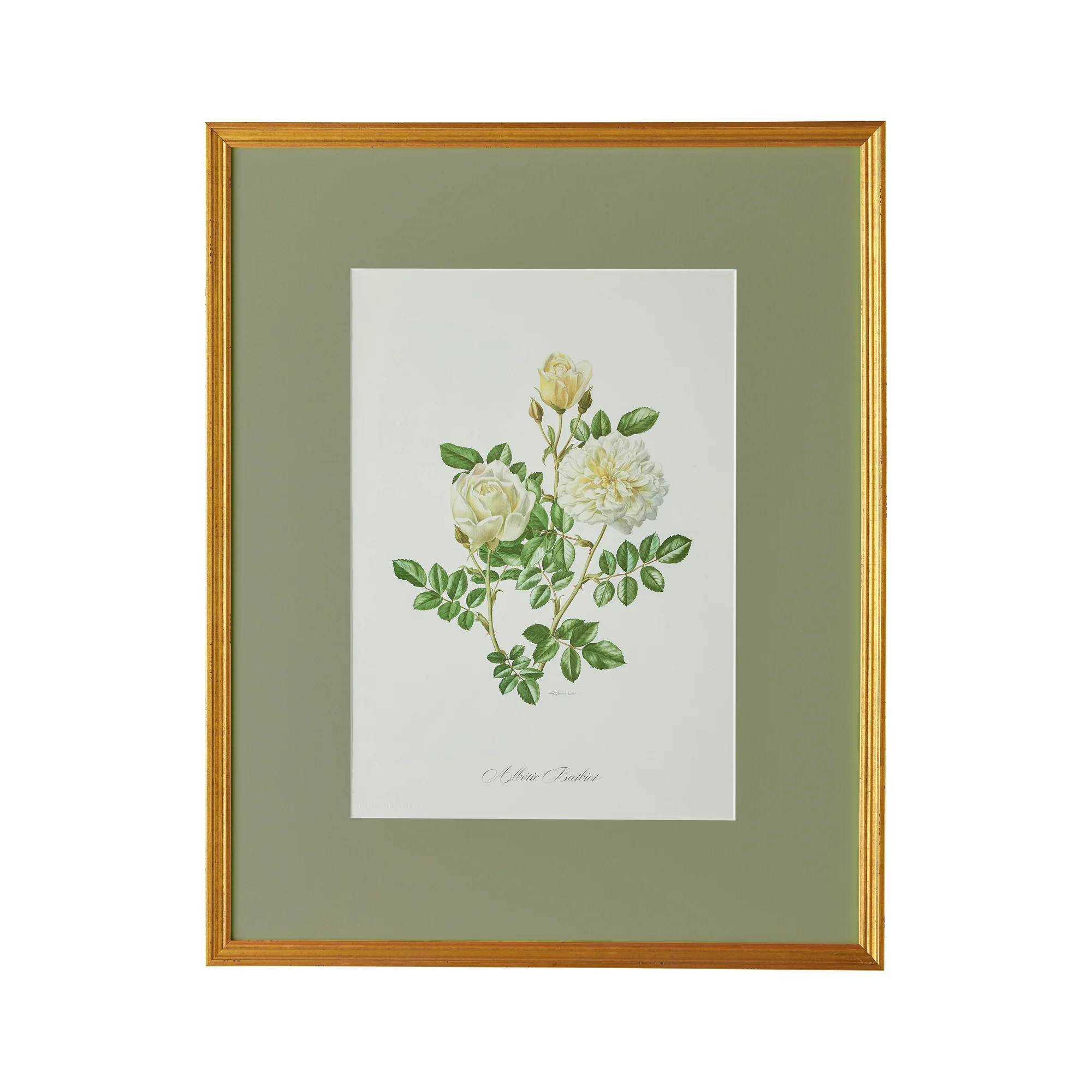 Spring Revival Print III | Caitlin Wilson Design