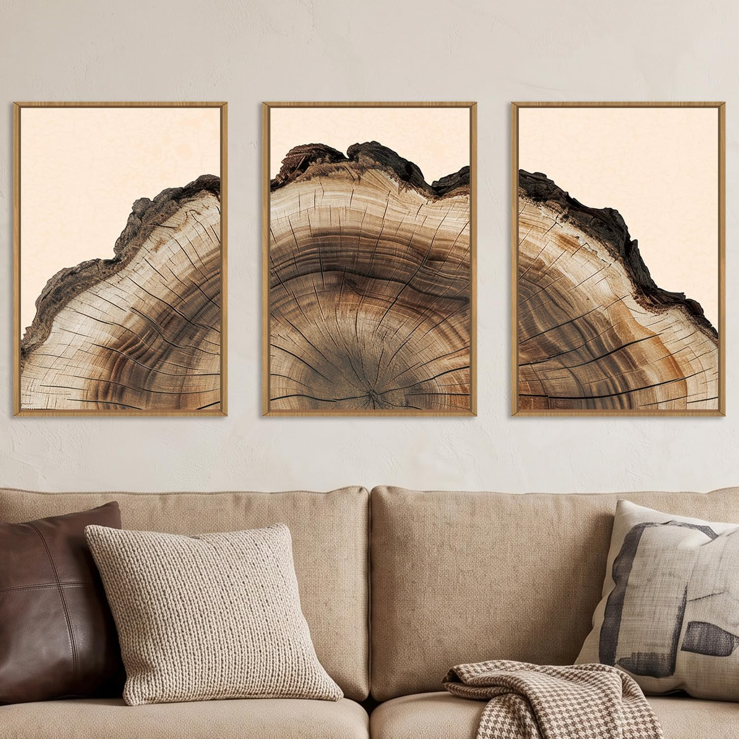KAIRNE Vintage Wood Stump Tree Rings Framed Canvas Wall Art Set-16"x24"x3 | Amazon (US)