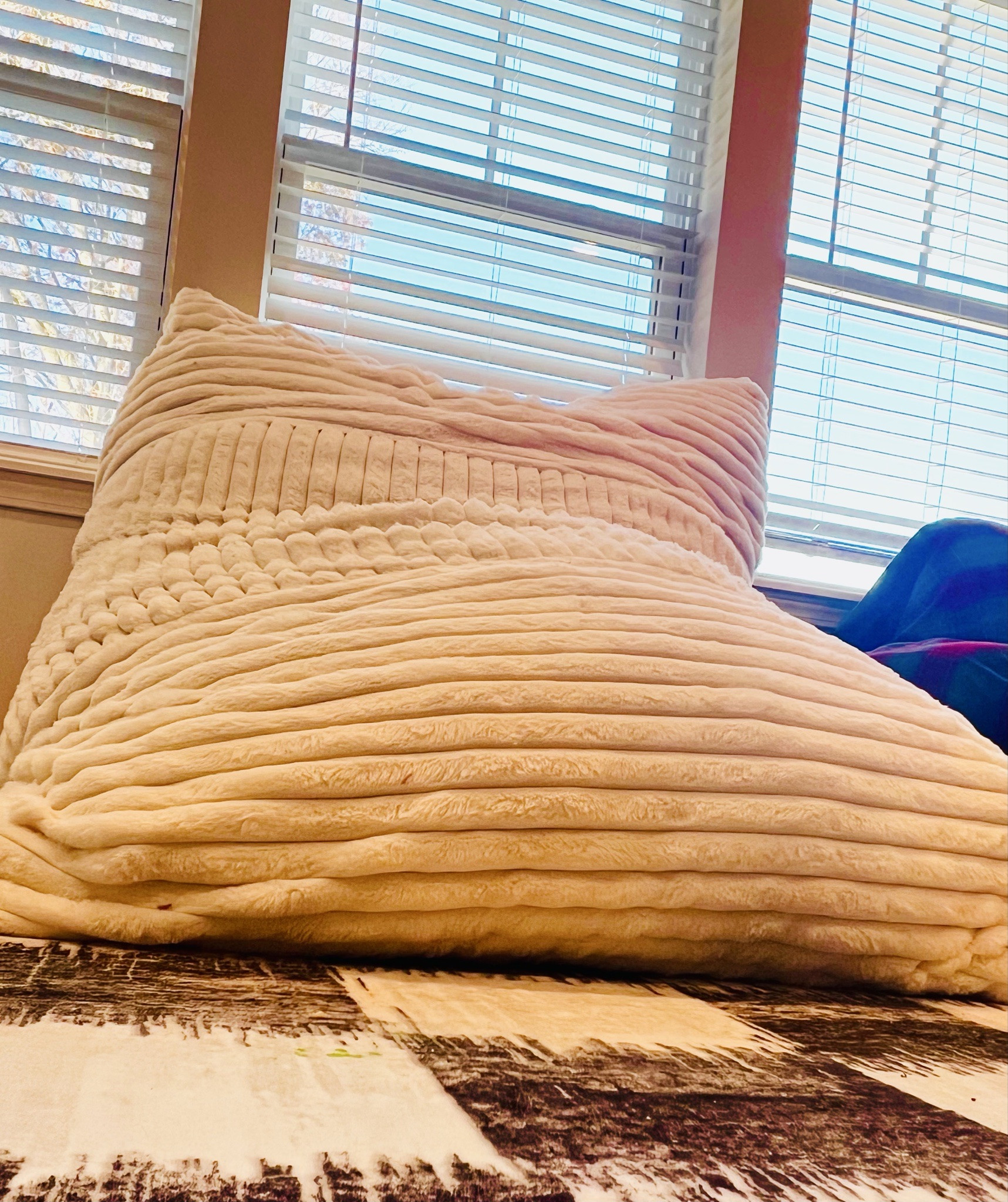 The OG + still best purchase 🏆
•Crash pad
•Cozy|calm corner 
•Movie Night 
•Relax|Schoolwork|Coloring 
AND the cover zips off and washes well. 
🤌🏼

#Crashpad #Calmdowncorner #beanbag #FamilyMovieNight #Sensoryplay #Sensoryroom 
#Autism 

#LTKKids #LTKmomlife #LTKHome