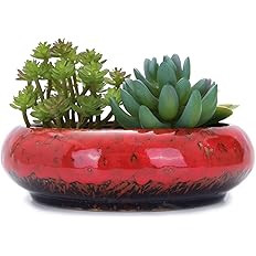 VanEnjoy 7.3 inch Round Large Shallow Succulent Ceramic Glazed Planter Pots with Drainage Hole, B... | Amazon (US)