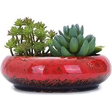 VanEnjoy 7.3 inch Round Large Shallow Succulent Ceramic Glazed Planter Pots with Drainage Hole, B... | Amazon (US)