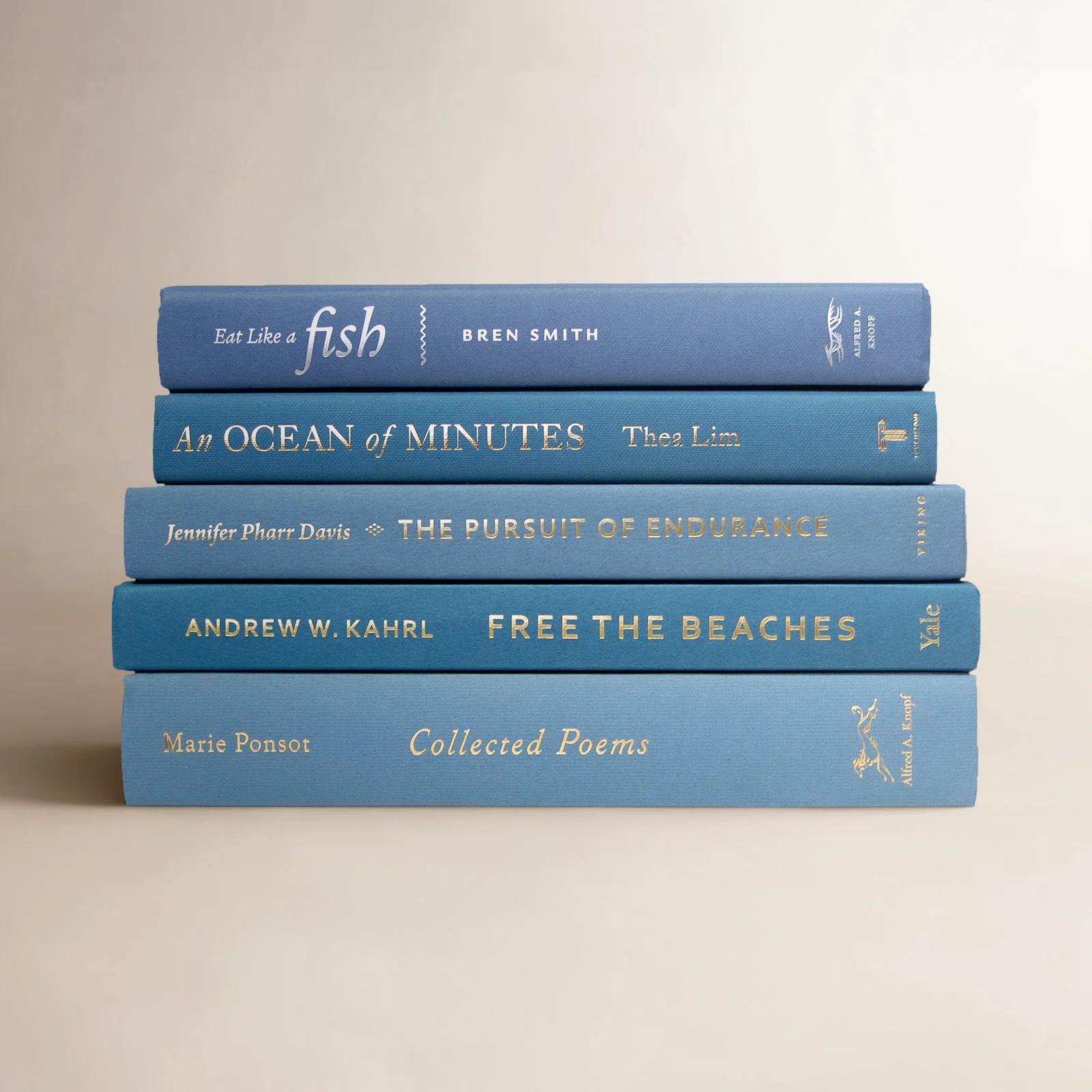 Bingham Modern 5 Piece Decorative Book | Birch Lane