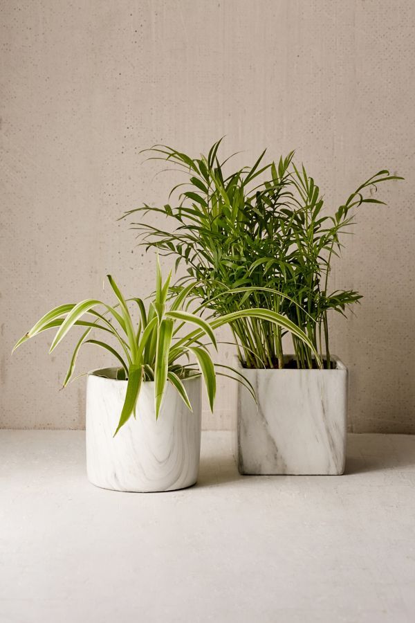 Marble Shape Planter | Urban Outfitters US