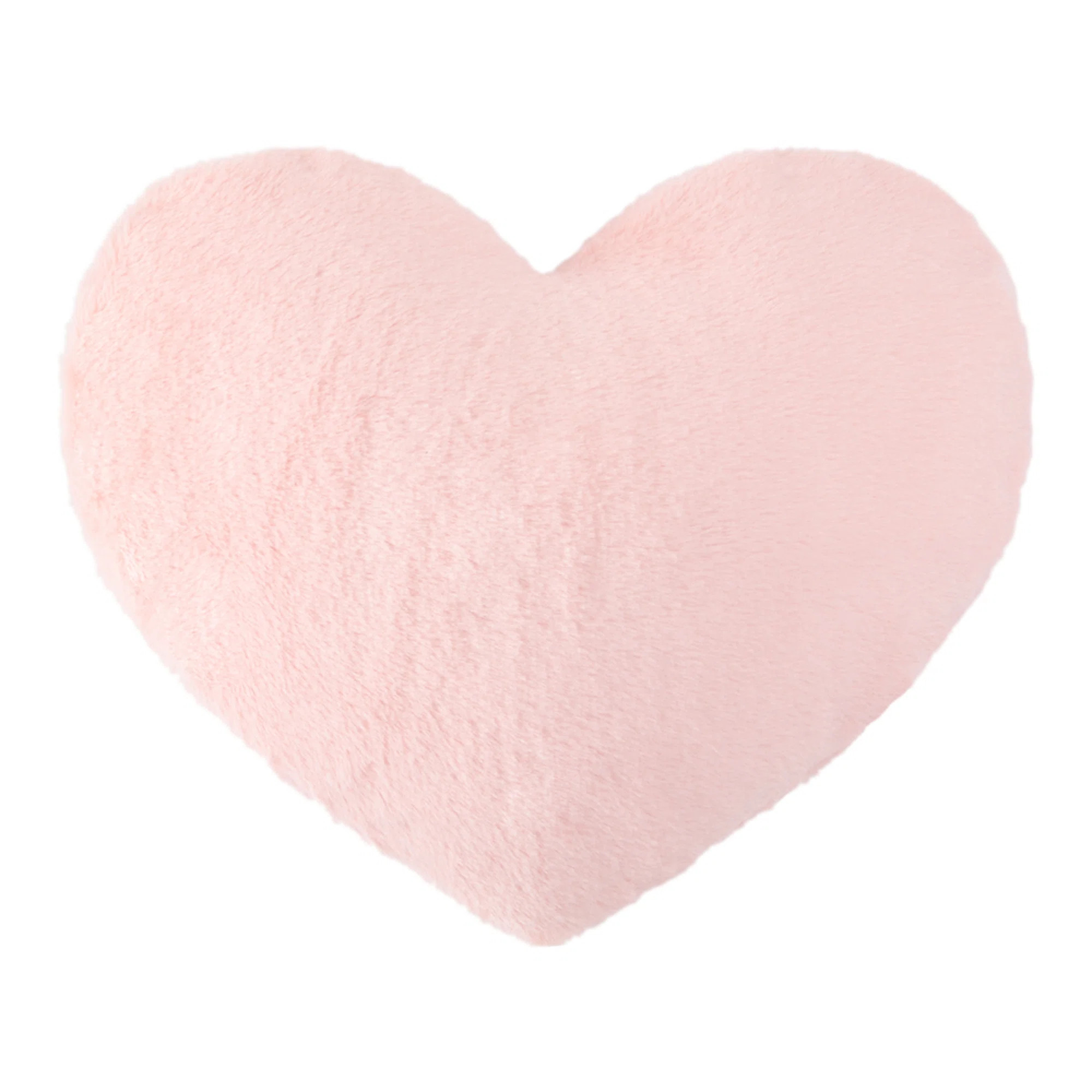 Throw Pillow | Wayfair North America