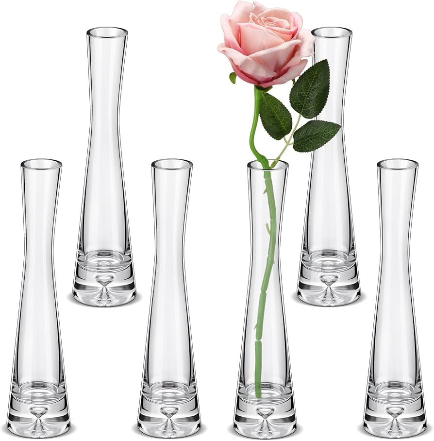 Sliner 6 Pcs Tall Glass Bud Vase for Centerpieces Clear Maria Bud Vase Small Single Flower Vase R... | Amazon (US)