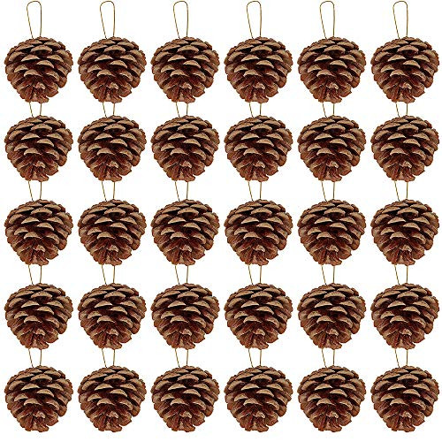 Supla 30 Pcs Christmas Hanging Real Preserved Pine Cones Ornaments 2"-3" Tall Christmas Tree Hanging Pinecone Ornaments | Amazon (US)