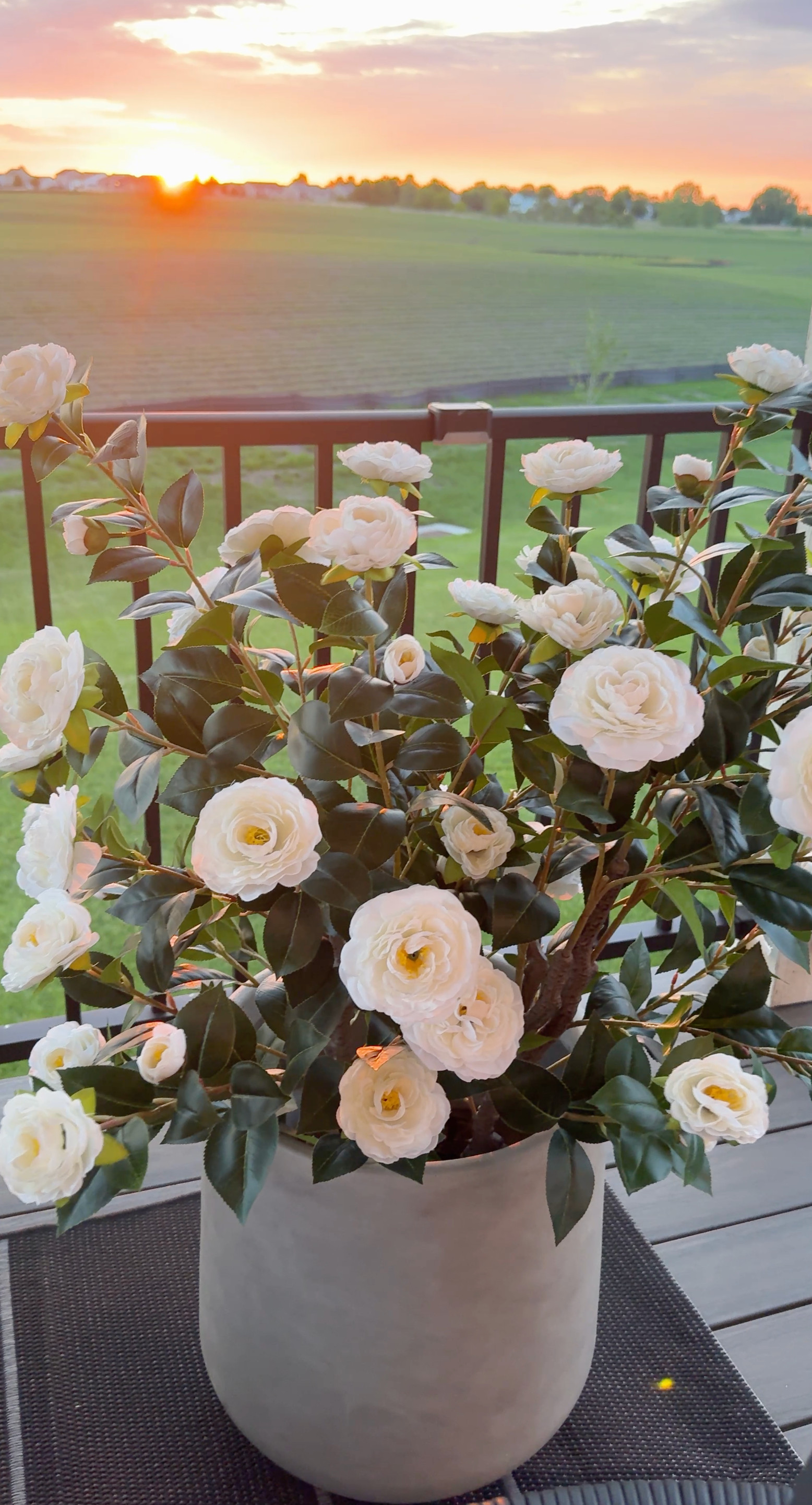 Everyone is loving these flower trees 🤍 They make such a statement on a patio or porch. 

 #LTKHome