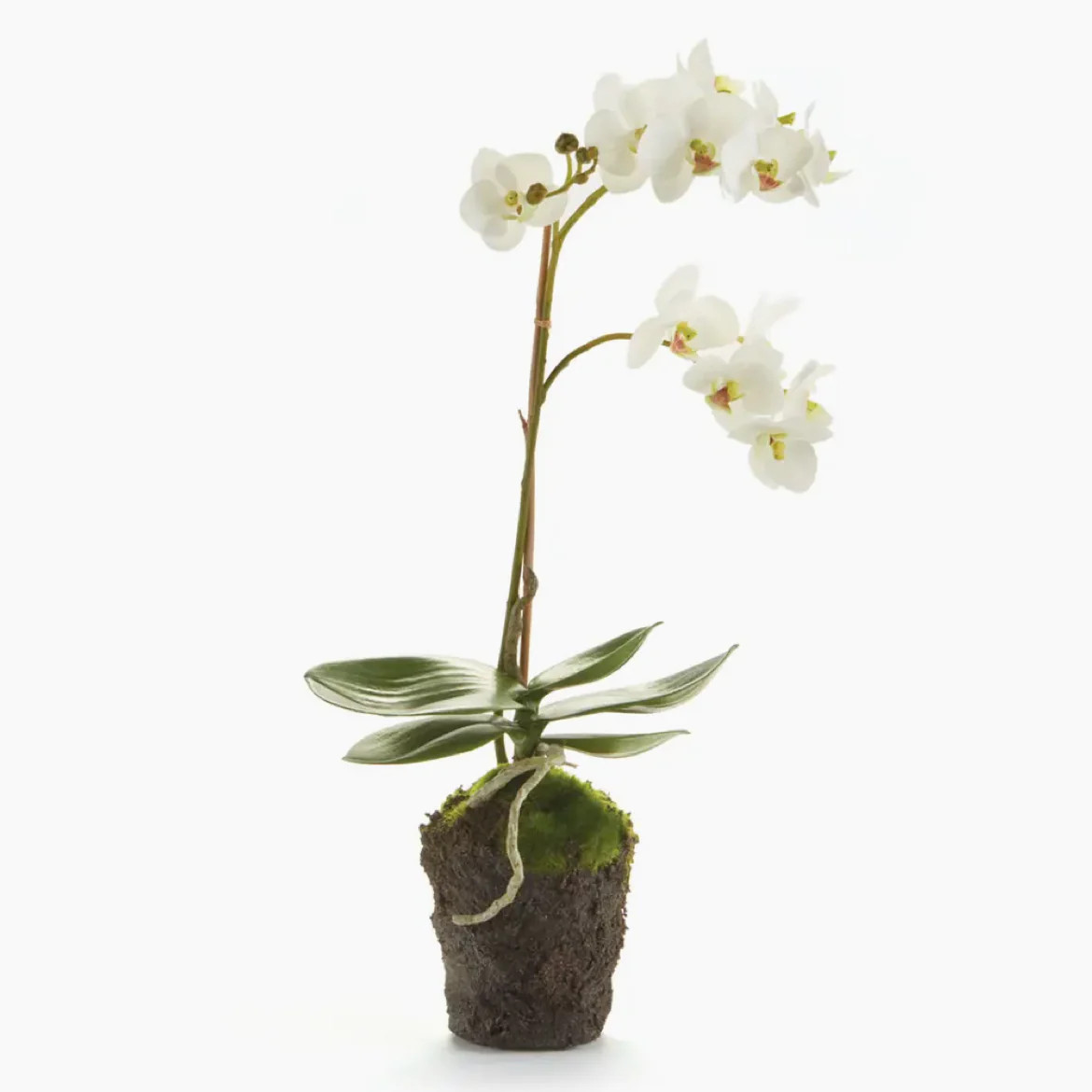 17" Faux Orchid Drop-In | Susan Gordon Pottery