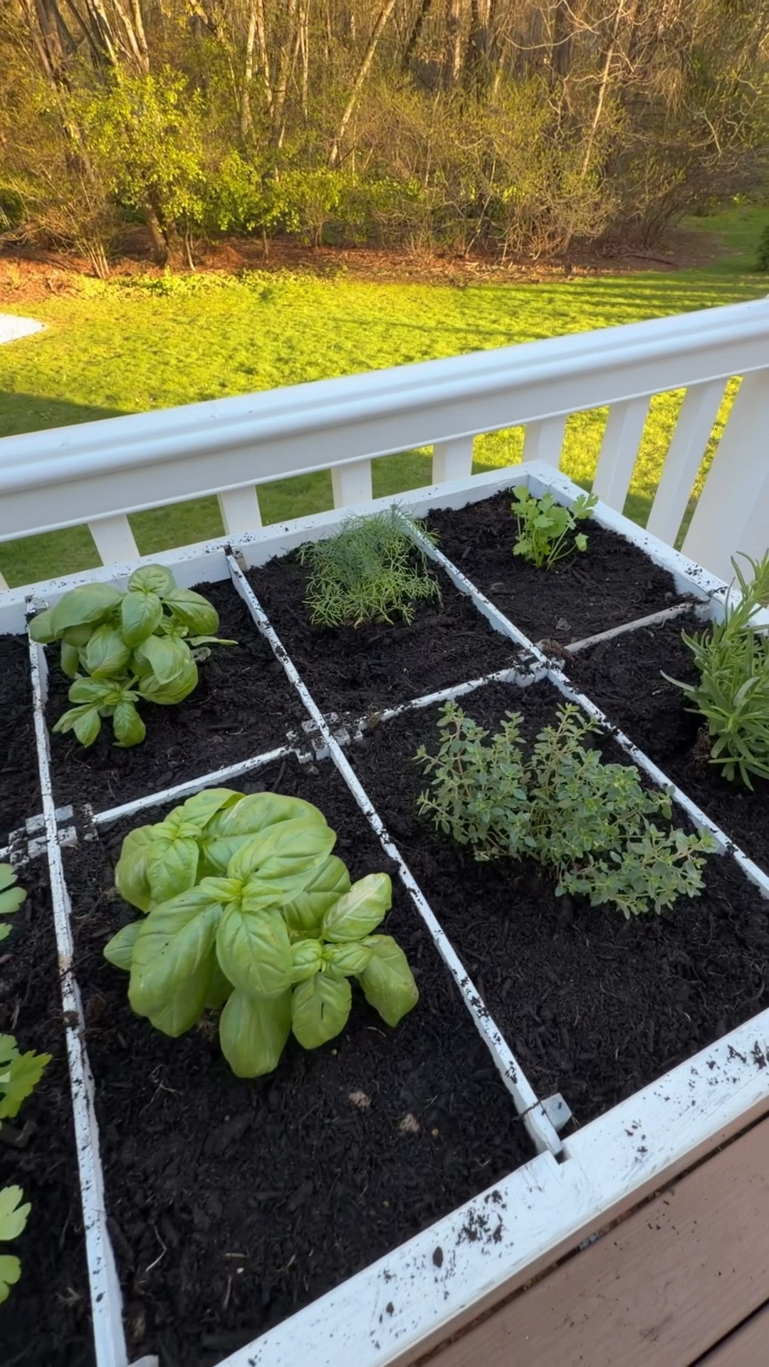 Plant my herb garden with me vlog …my planter is the one under exact items I just painted it white to match our deck!

Gardening 

#LTKdayinmylife #LTKselfcare #LTKvlog
