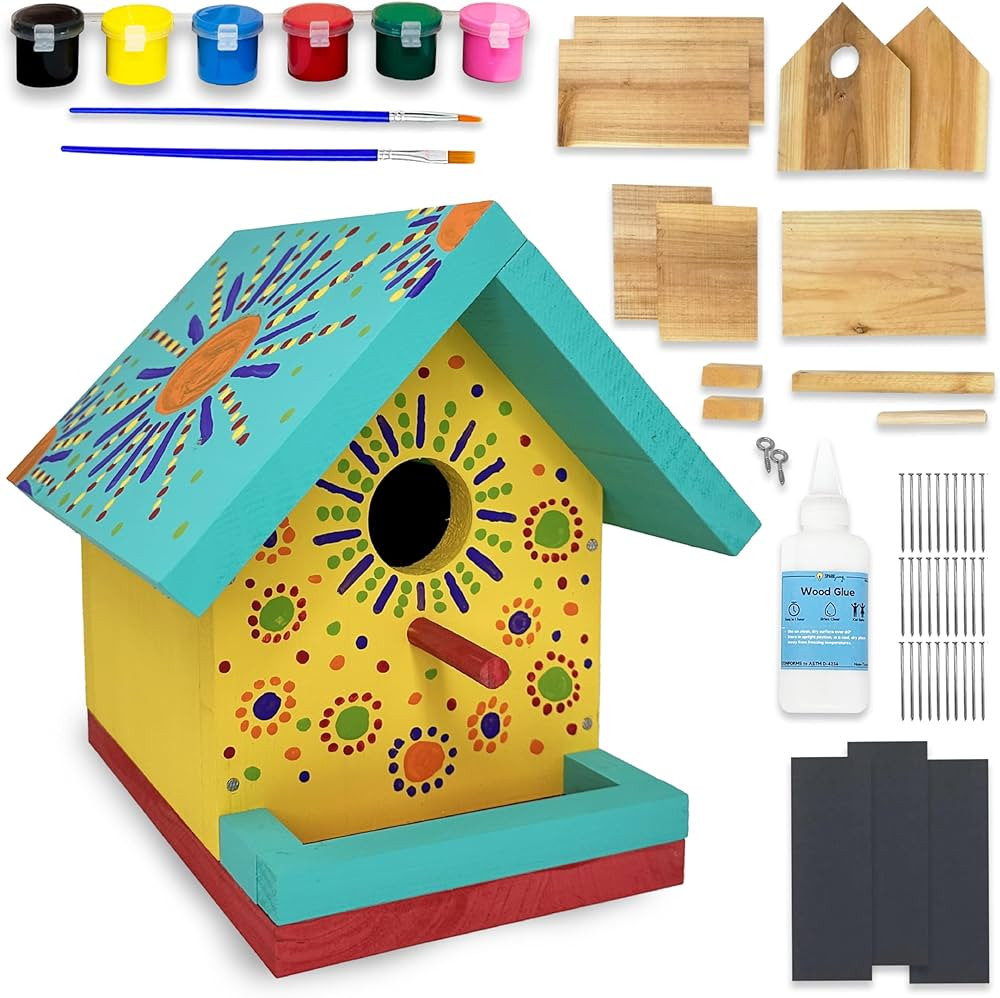 Jr Bird House Kit, DIY Cedar Wood Birdhouse for Outdoors with Paint, Fun for Kids & Adults, Bird ... | Amazon (US)