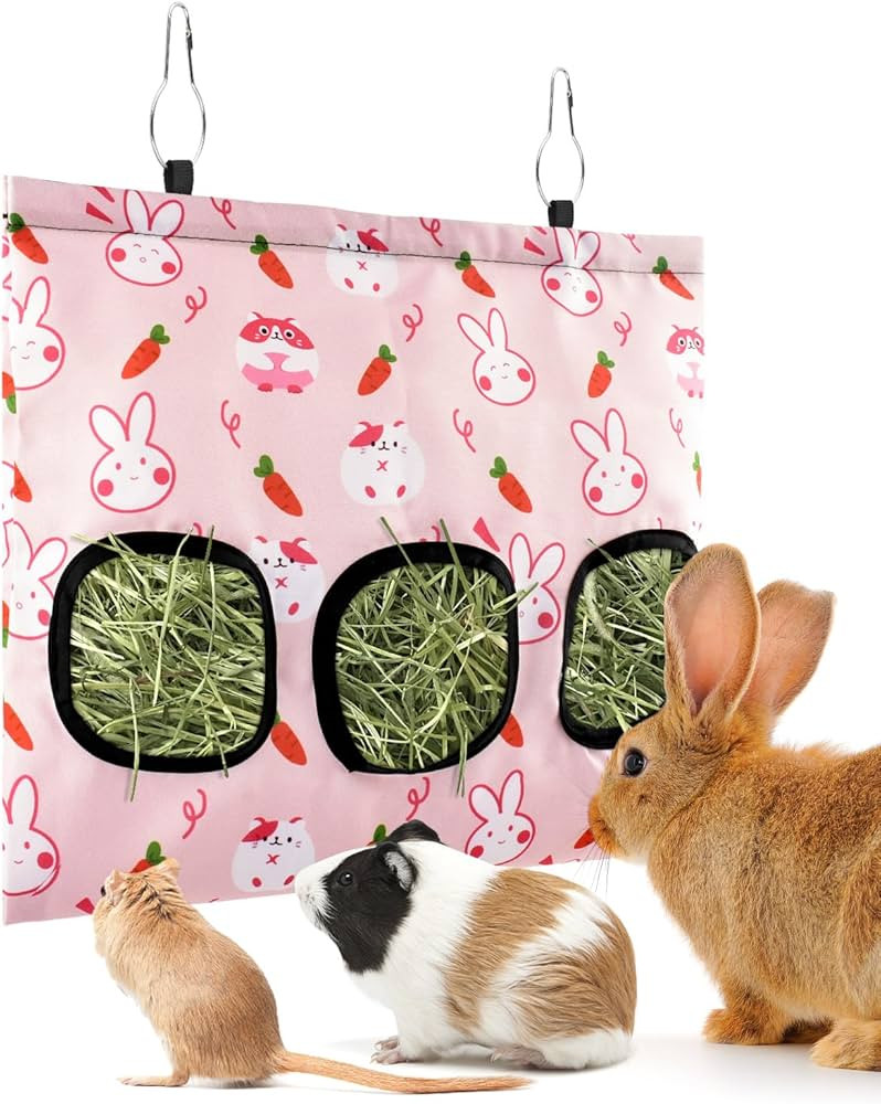 Bissap Rabbit Hay Feeder Bag, 3 Holes Hanging Hay Feeder Guinea Pig Hay Bag for Rabbits Bunny Chi... | Amazon (CA)