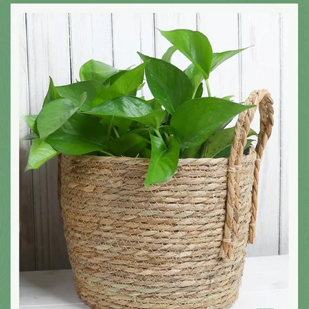 Seagrass Planters Basket Hand Woven Brown Plant Pots Plant Containers for Indoor Outdoor Room Decora | Walmart (US)