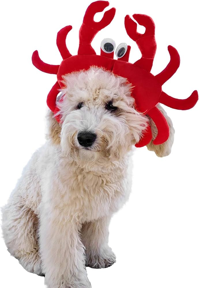 ComfyCamper Crab Dog Costume - X Large Medium Small Little French Lab Retriever Mermaid Cosplay H... | Amazon (US)