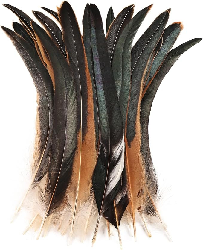 Colorful Rooster Tail Feathers-50PC 10-12inch Natural Long Rooster Tail Feathers Bulk (Natural) | Amazon (US)