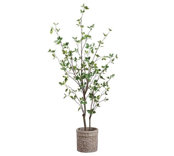 Faux Potted Cornus Tree | Pottery Barn (US)
