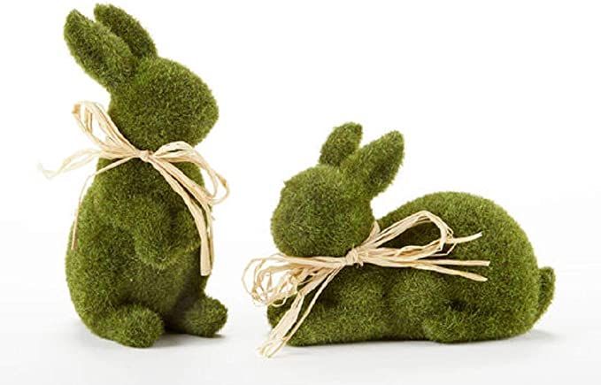 Delton Moss Bunny Rabbits with Raffia Bows - 4 and 6.5 inches Set of 2 | Amazon (US)