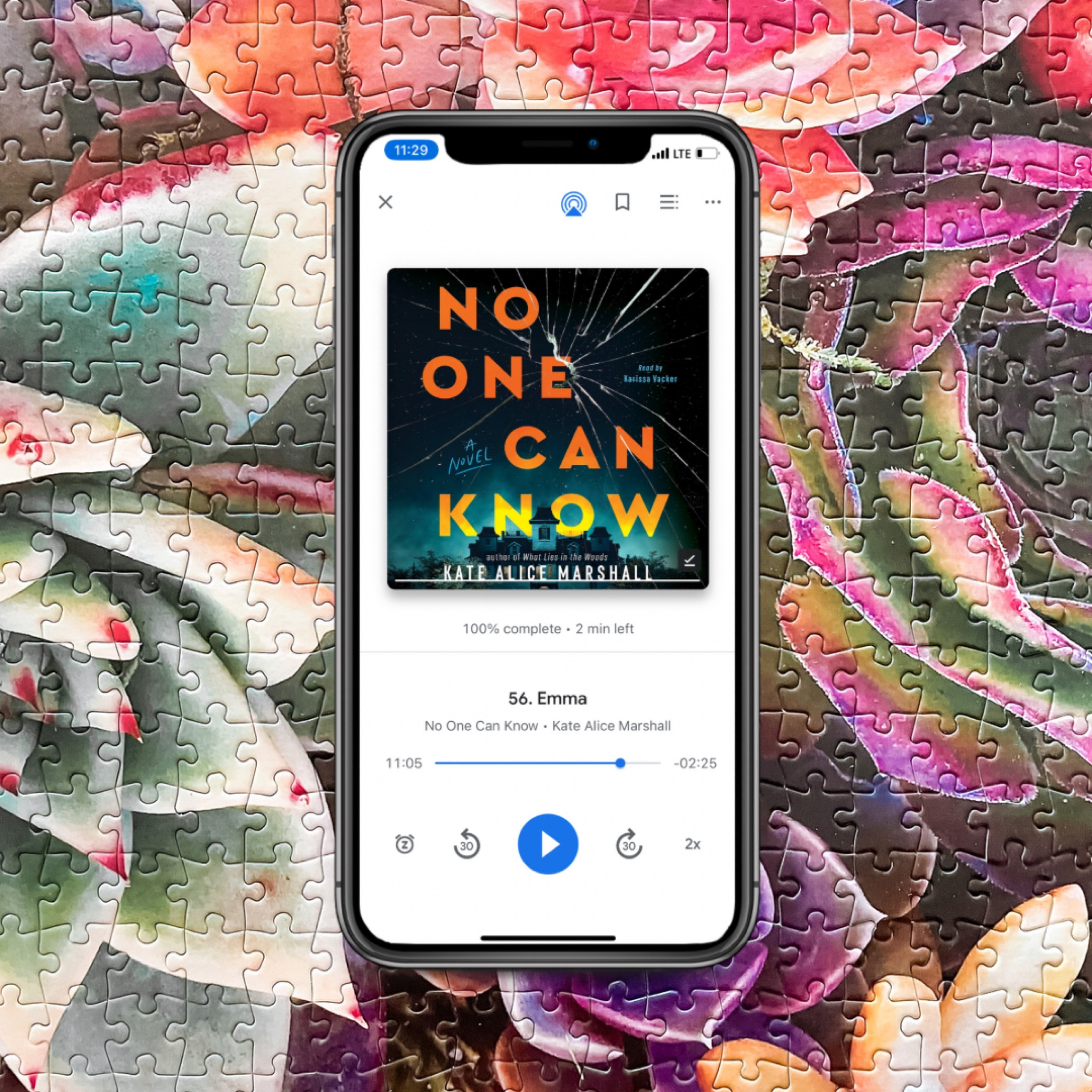 Book, audiobook, jigsaw puzzle

#LTKfindsunder50