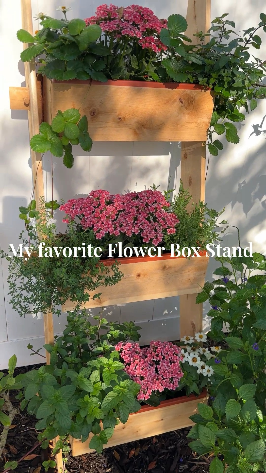 Garden planters, grow veggies and herbs. 3 Teir Cedar standing flower box. 

#LTKHome #LTKSeasonal