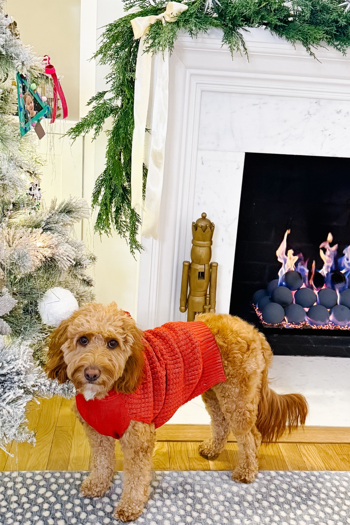 baby it’s cold outside 🐾 
#walmartpartner @walmart

#LTKHoliday #LTKFamily