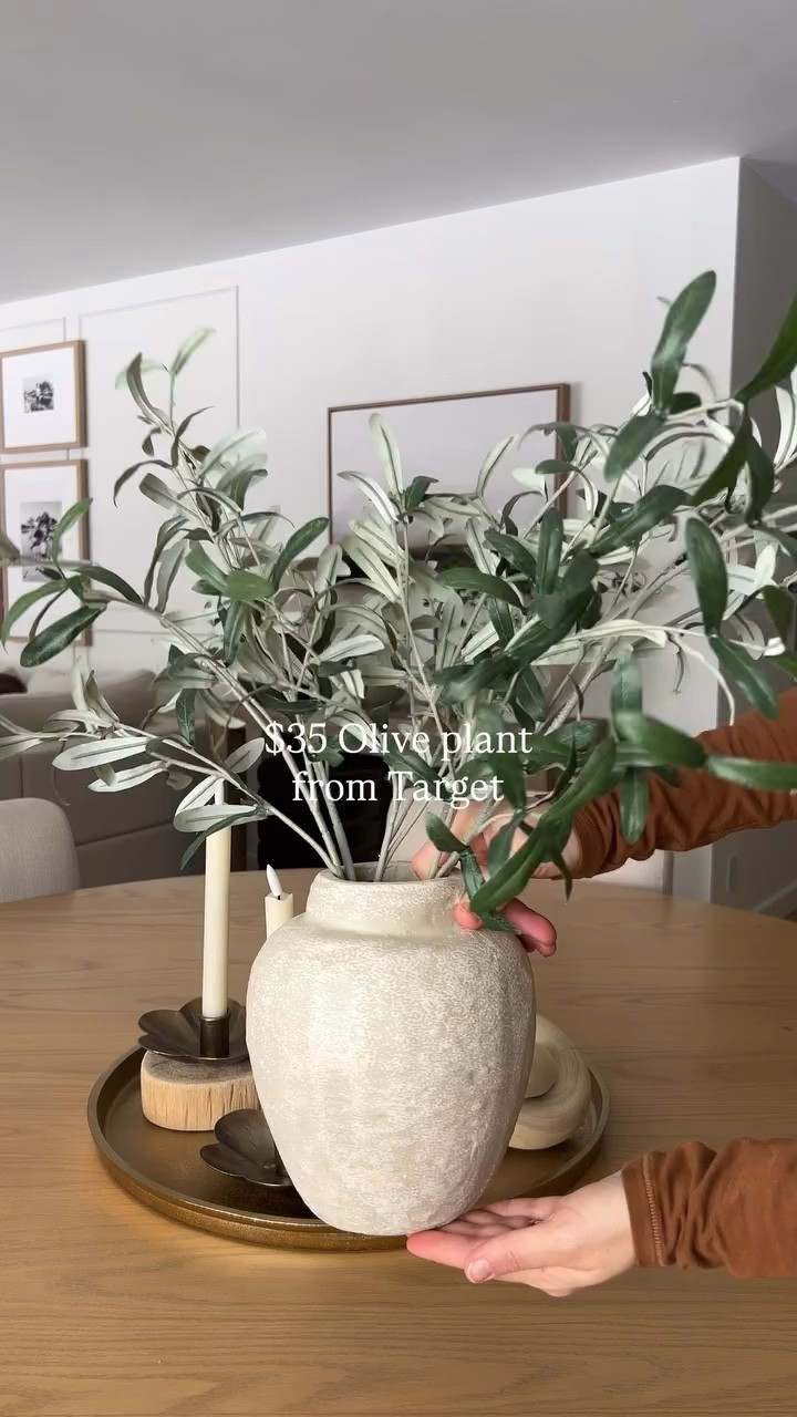 This olive plant is the perfect way to add a little greenery to your home!


#LTKSpringSale #LTKHome #LTKSeasonal