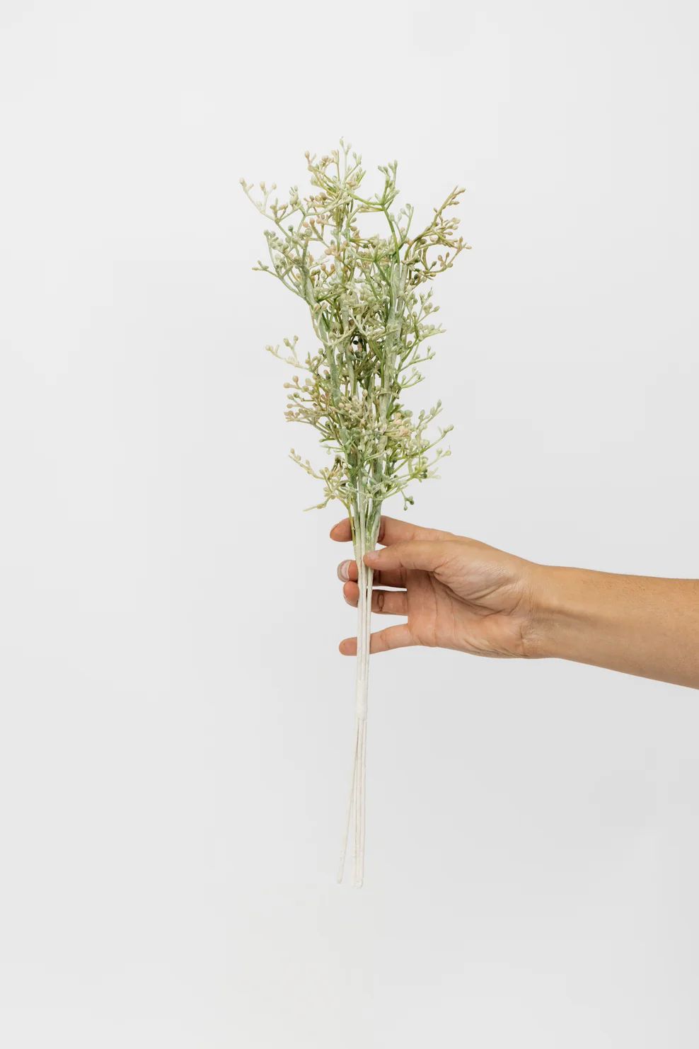 Jarvis Wild Grass Spray - 18" | THELIFESTYLEDCO