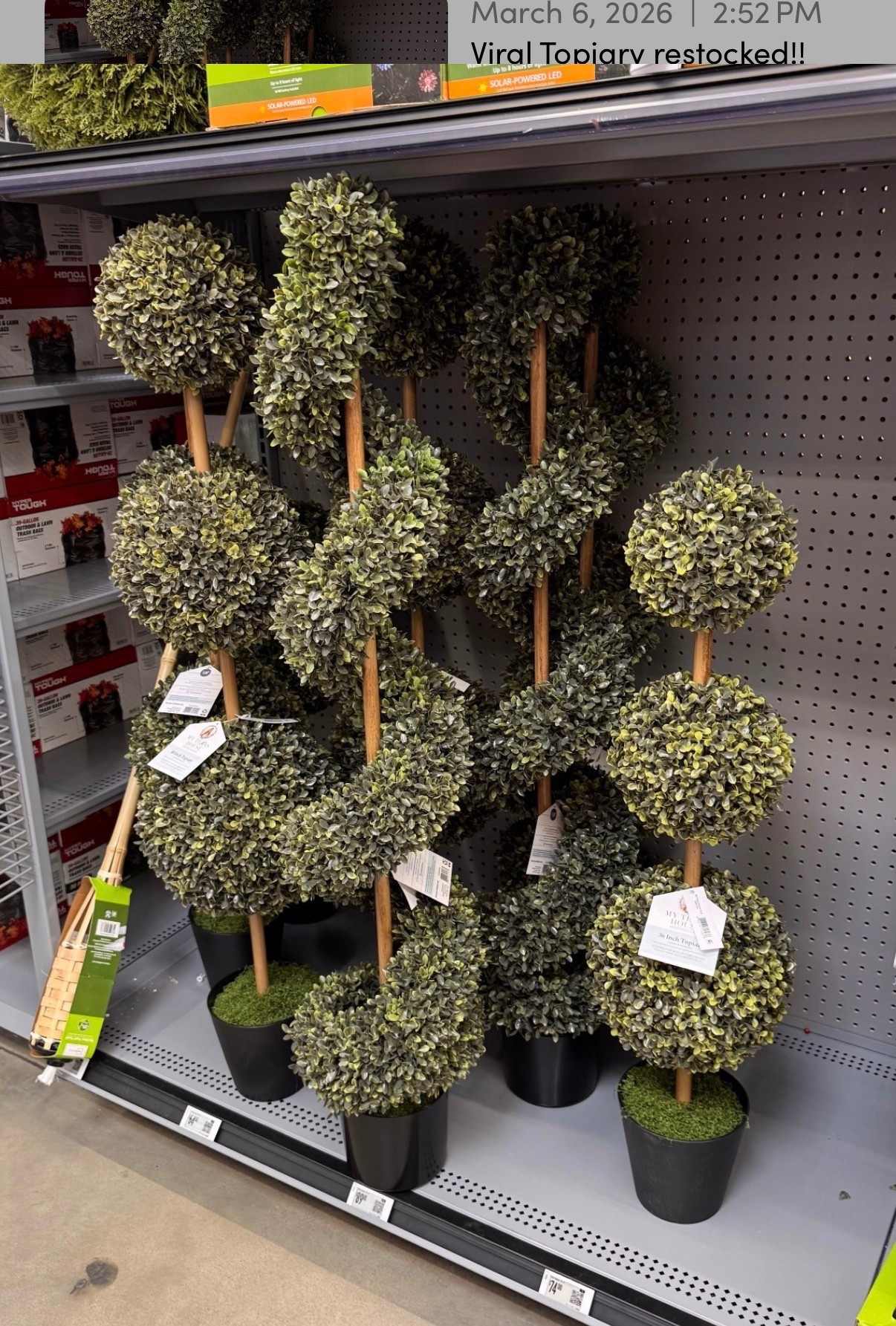 Viral Topiary restocked!!

#LTKSeasonal #LTKSpringSale #LTKHome