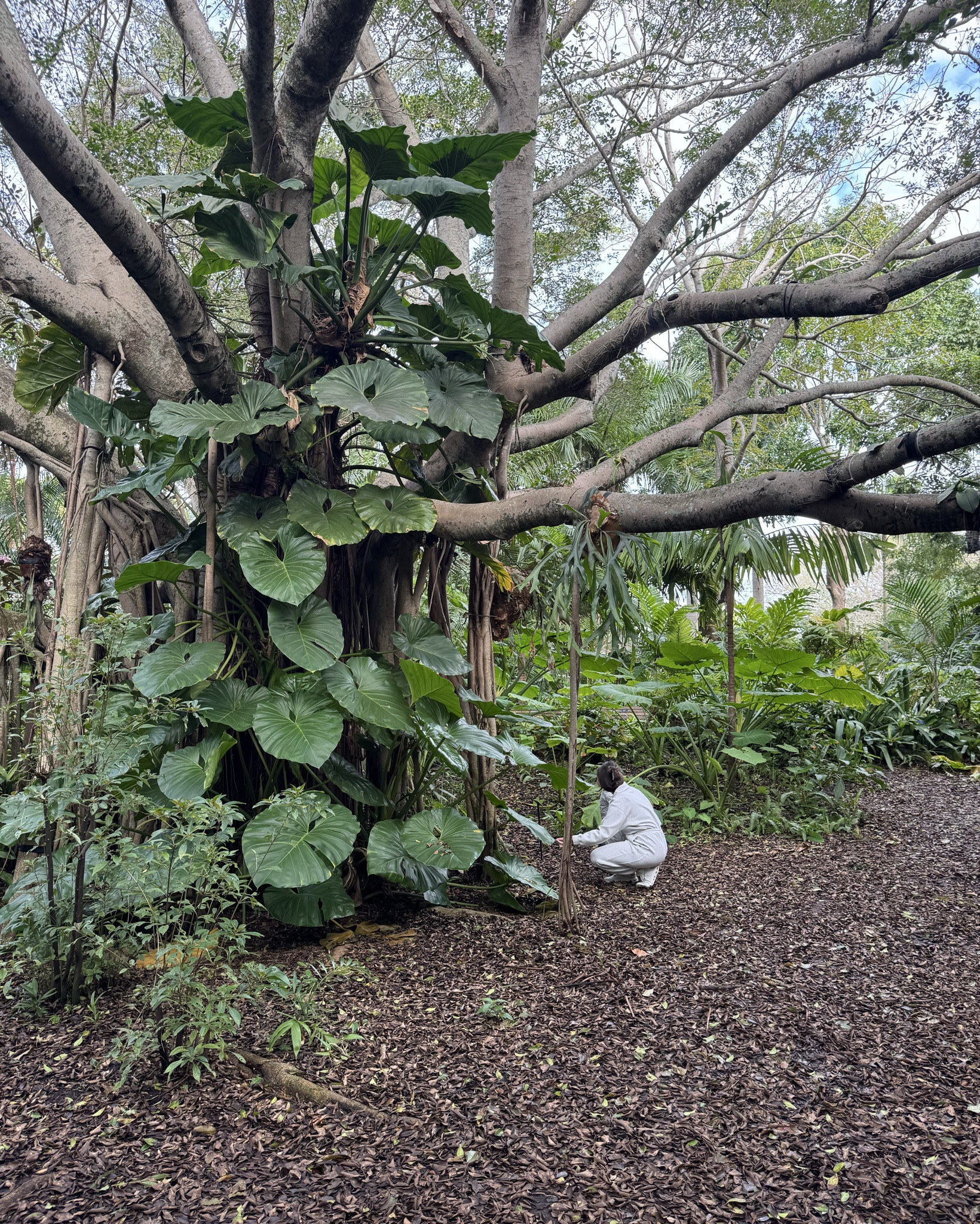 The perfect mom outfit - my Abercrombie jumpsuit is on repeat 🤍✨

#LTKSaleAlert #LTKmomlife #LTKActive