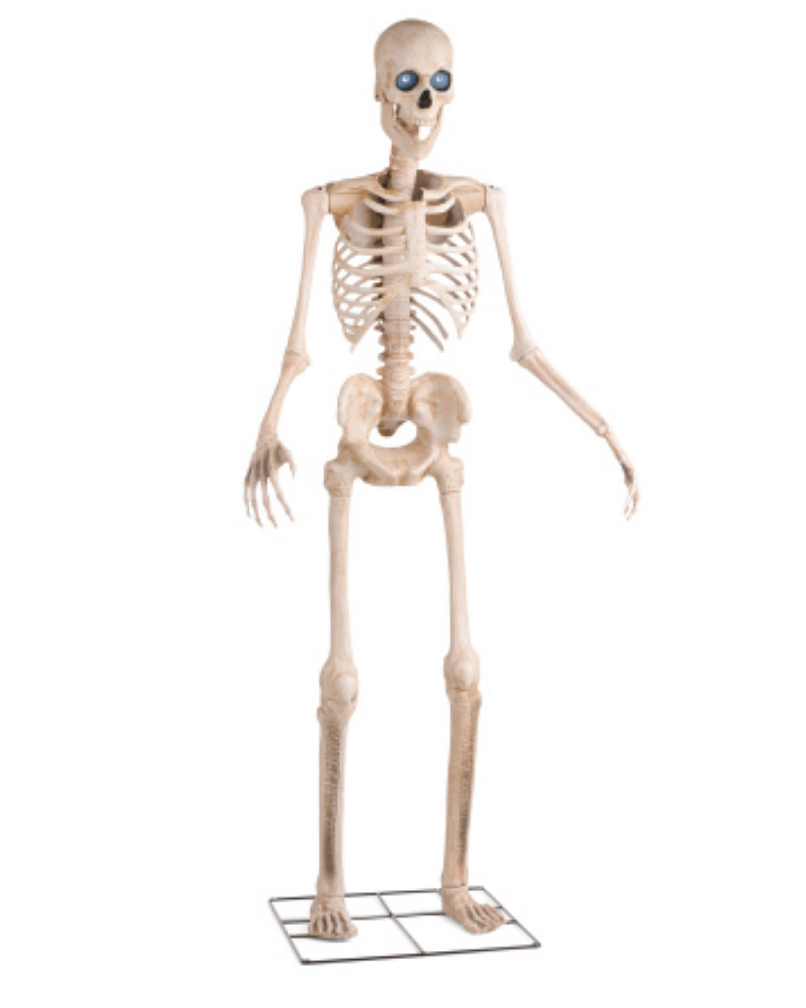 Outdoor 8’ skeleton m, Halloween decor 

#LTKhome #LTKHalloween