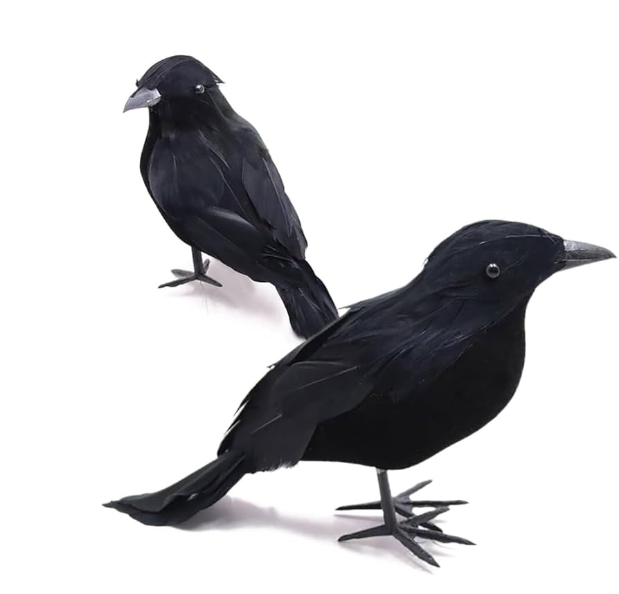 Realistic Black Feather Crow Statues, Set of 2, Halloween Party Decorations, Outdoor Bird Props | Amazon (US)