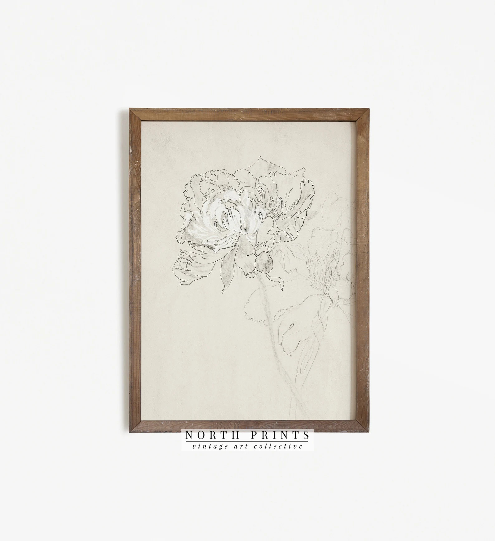 Flower Sketch  Vintage Botanical Line Drawing  Floral Art | Etsy | Etsy (US)