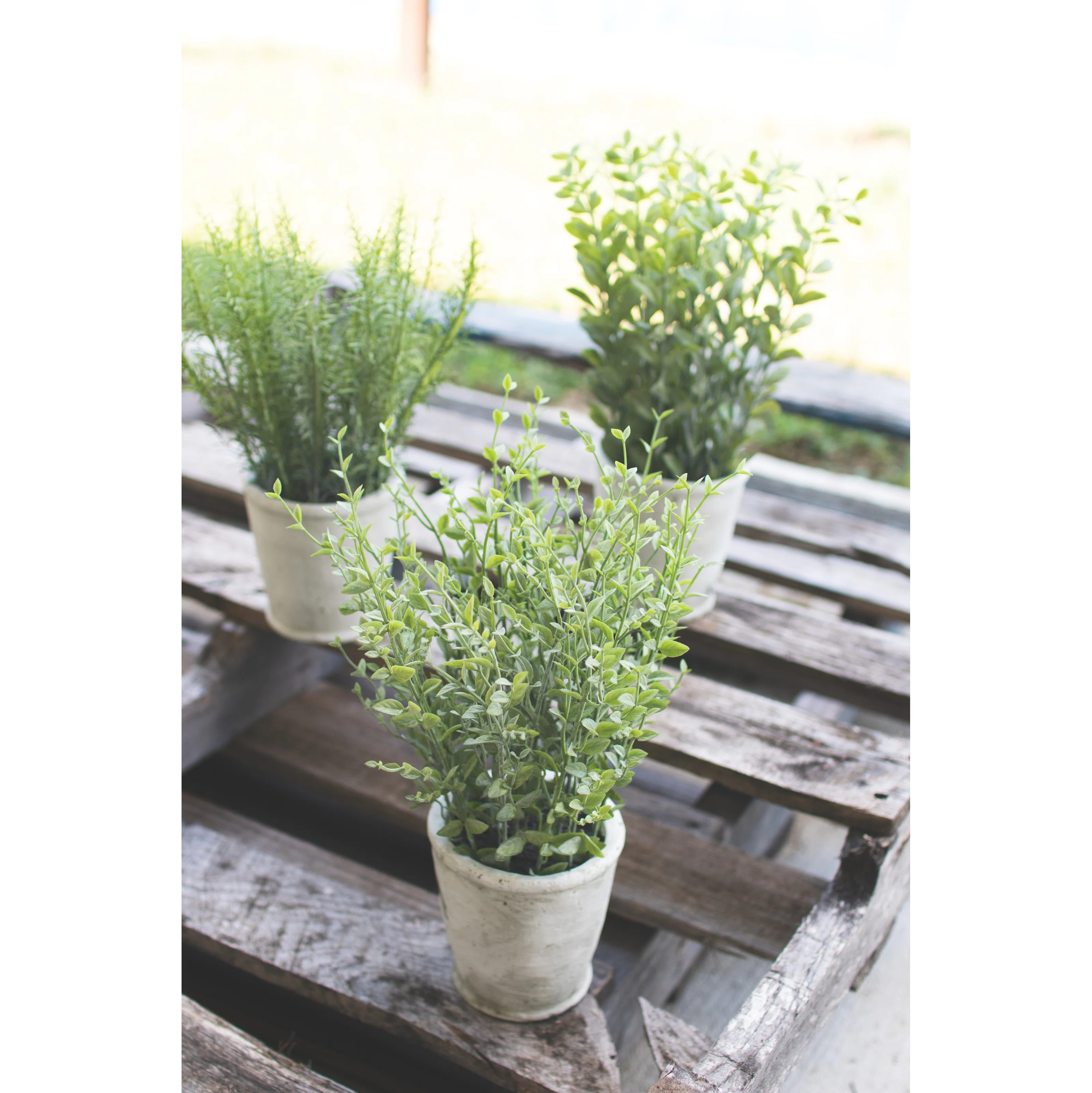 13'' Faux Herbs Plant in Cement Pot (Set of 3) | Wayfair North America
