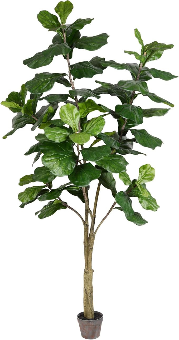 Vickerman Everyday Faux Fiddle Leaf Fig Tree 7ft Tall Green Silk Artificial Indoor Fiddle Plant W... | Amazon (US)