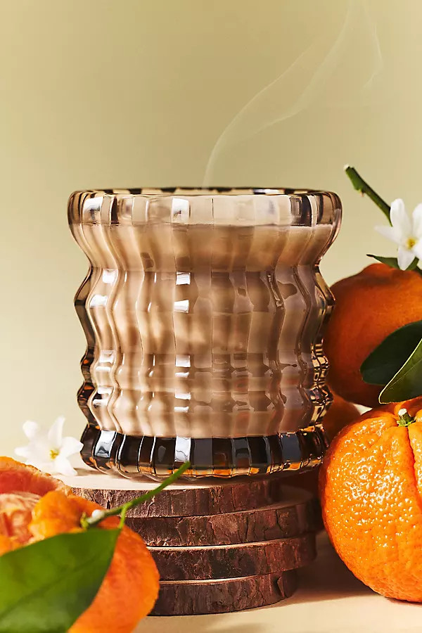 Auden Lueur Woody Willow Boxed Glass Candle | Anthropologie (US)