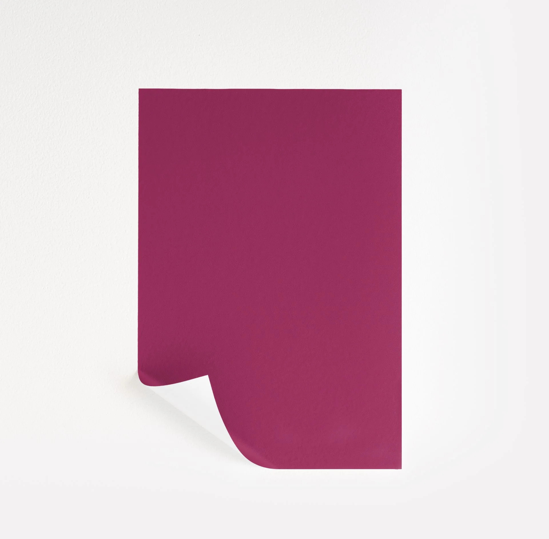 Foxglove Bloom  Paint Sample | Samplize