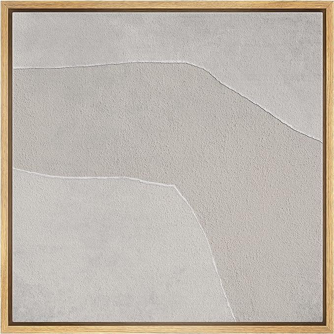 SIGNWIN Framed Canvas Print Wall Art Geometric Gray Duotone Color Field Abstract Shapes Illustrat... | Amazon (US)