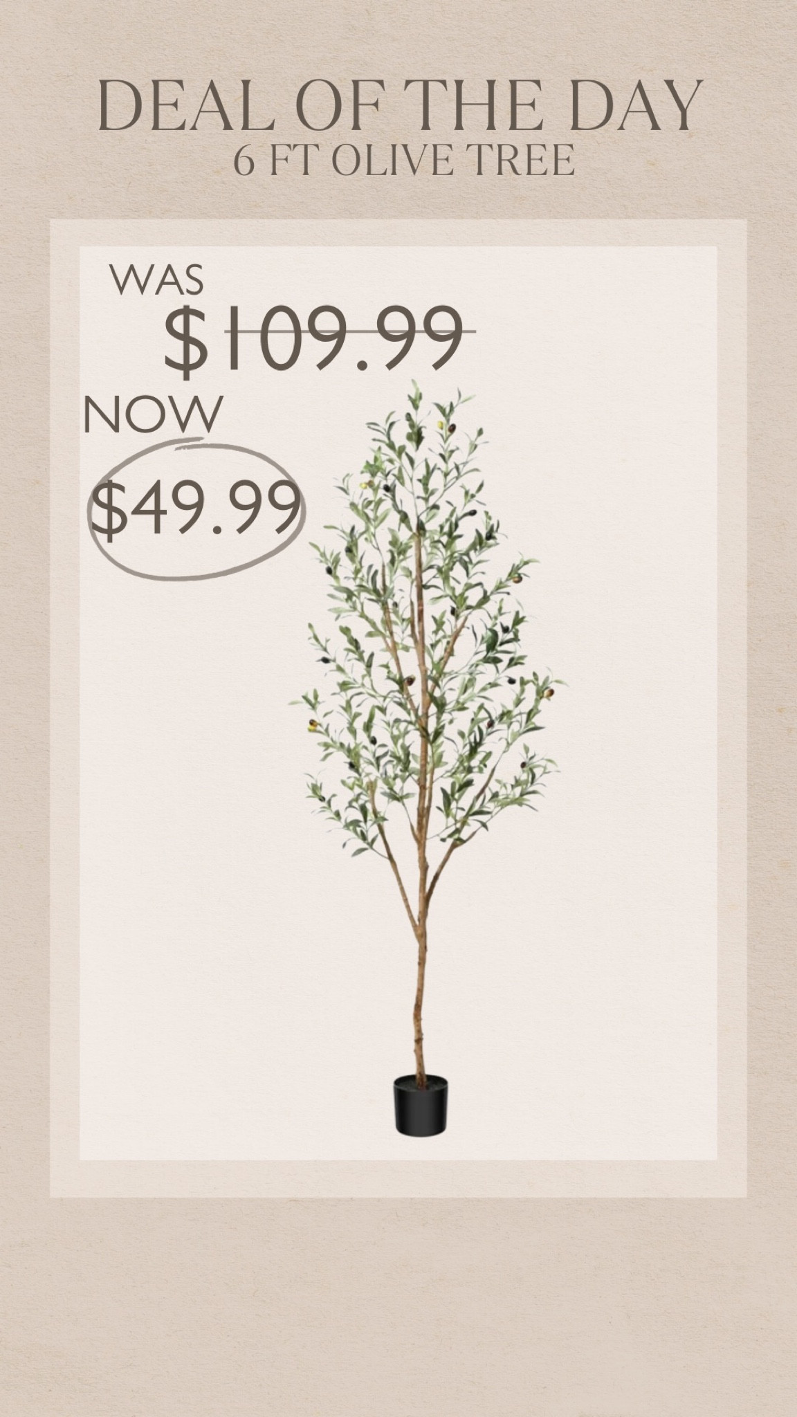 Shop this Deal Of The Day! 

#LauraBeverlin #@walmart #Walmart #HomeDecor #CyberWeek #BlackFriday #DealsOfTheDay 

#LTKGiftGuide #LTKsalealert #LTKCyberWeek