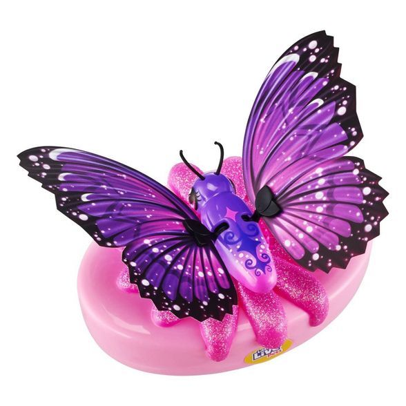 Little Live Pets Lil' Butterfly - Star Wings | Target