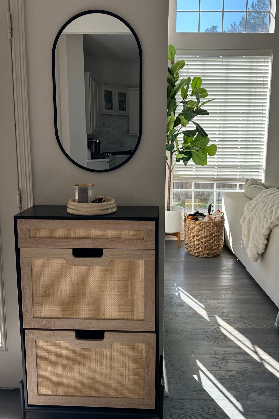 Viral amazon shoe cabinet perfect for elevating your living room

#LTKhome #LTKstyletip