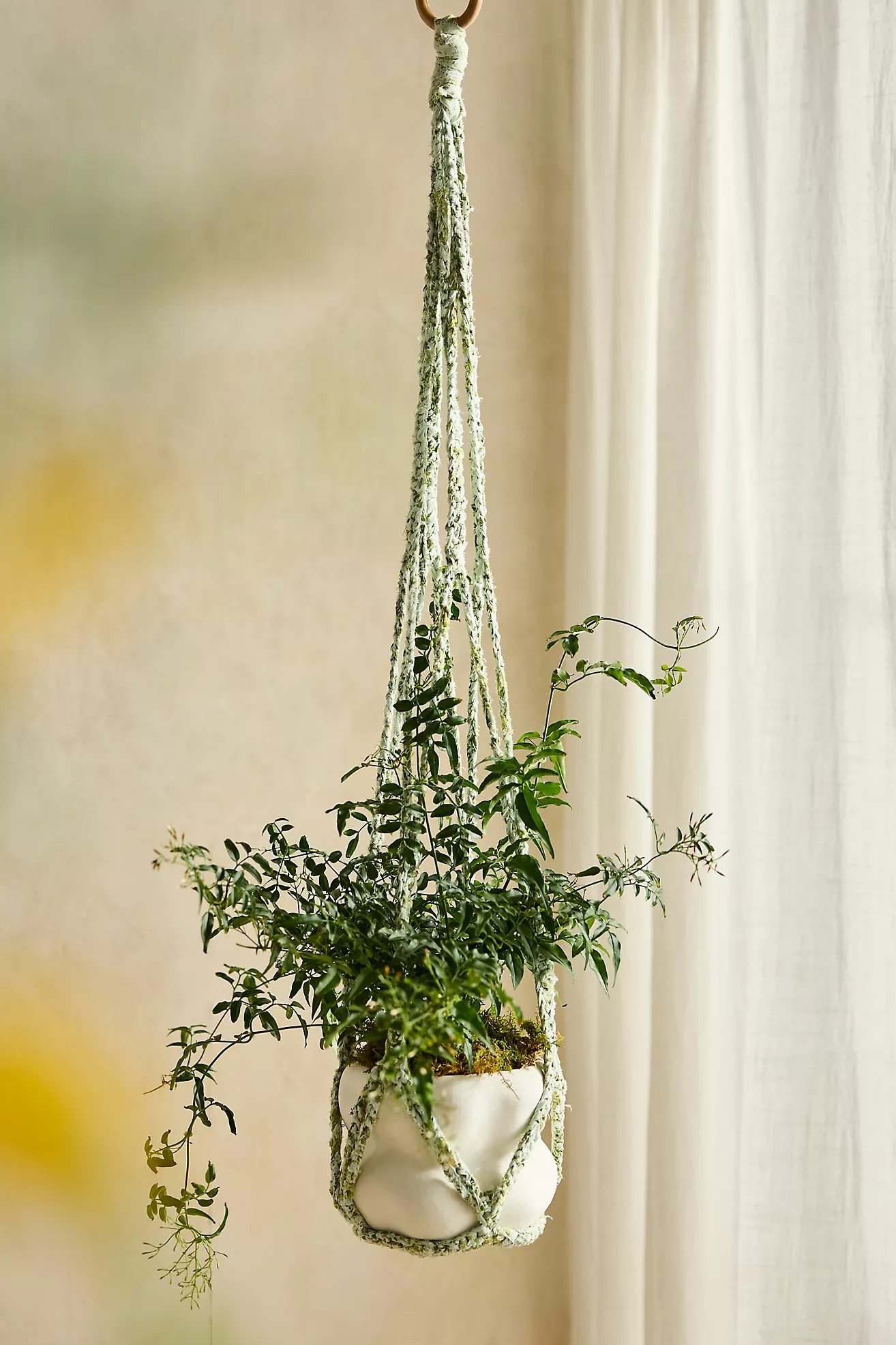 Sari Macrame Plant Hanger | Anthropologie (US)