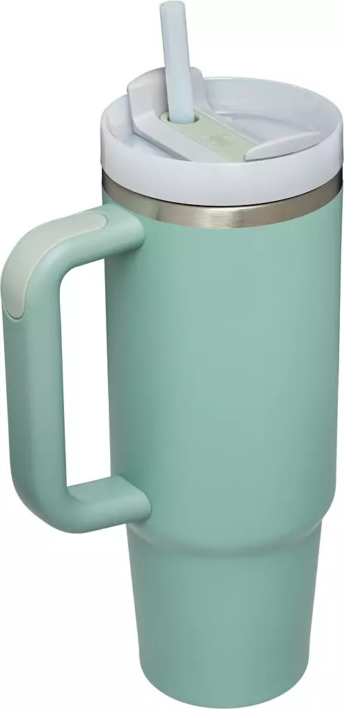 Stanley 30 oz. Quencher H2.0 FlowState Tumbler | Dick's Sporting Goods | Dick's Sporting Goods
