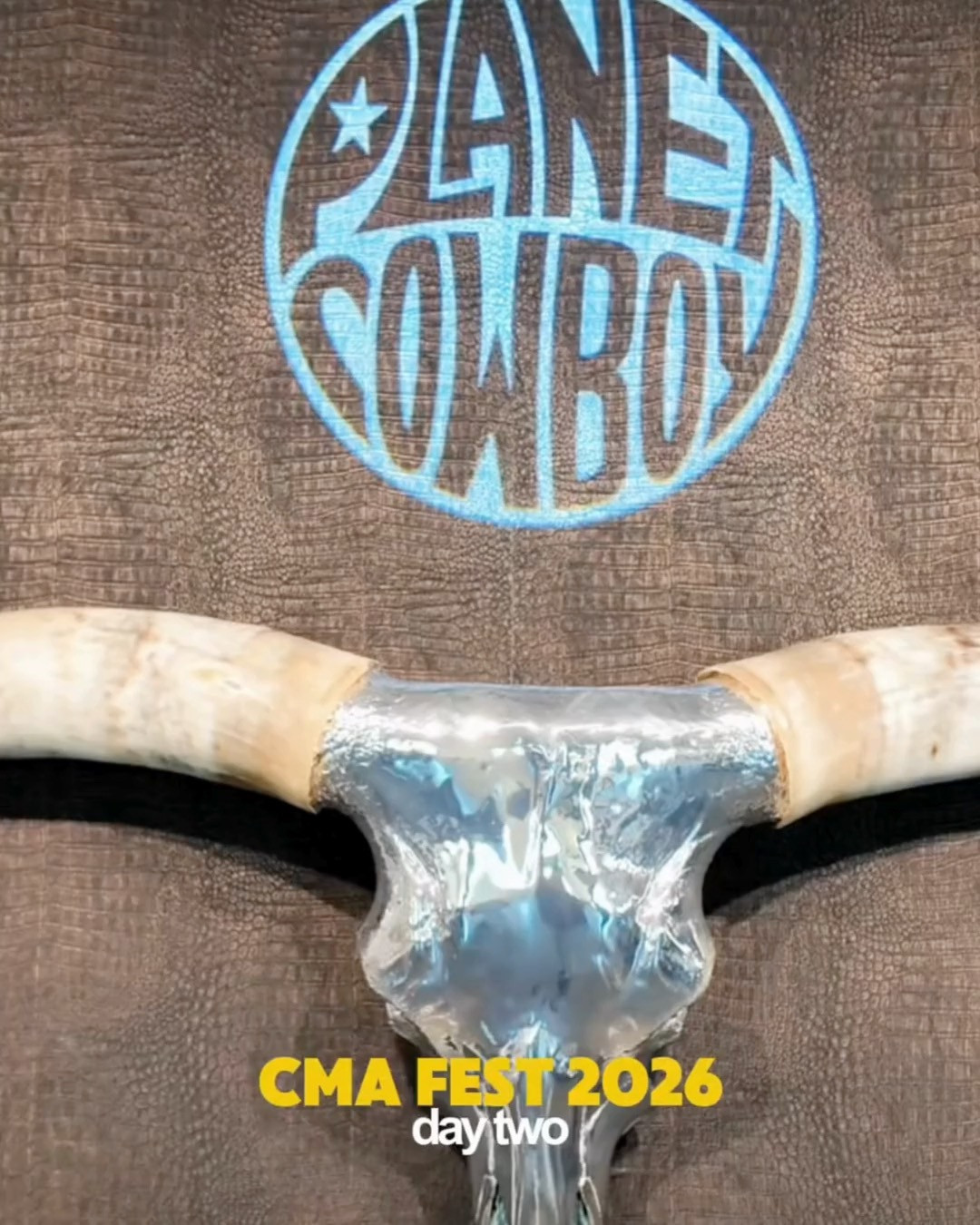 WHAT I WORE AT THE CMA FEST 2026 

 #LTKdayinmylife #LTKootd #LTKTravel