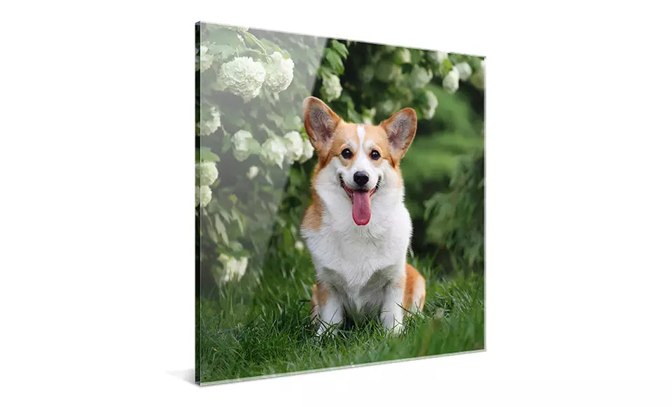 8x8 Custom Acrylic Prints from CanvasOnSale (Up to 82% Off. Eight Options Available. | Groupon North America
